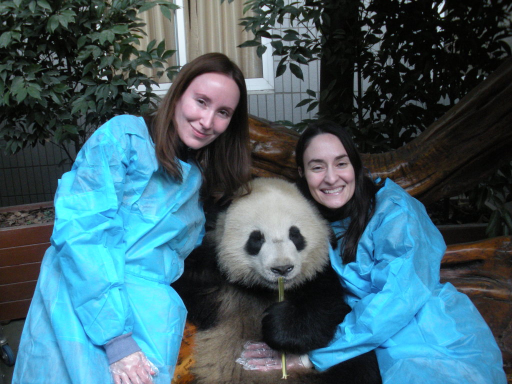 Hugging Baby Panda Chengdu china